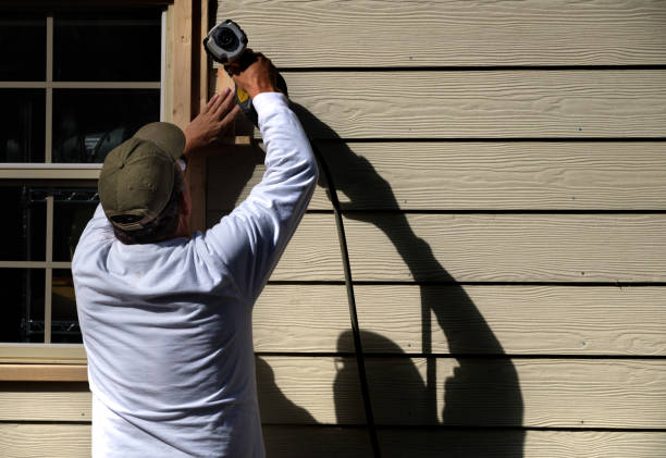 Best Fascia and Soffit Installation  in Buffalo, MO